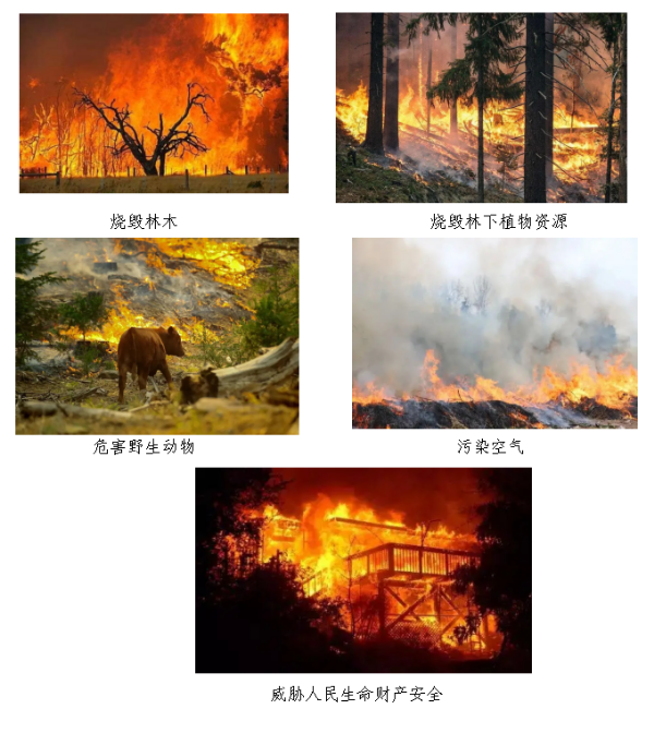 已编辑图片