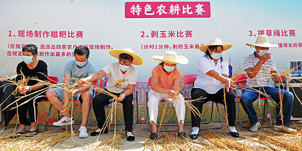 我区举办庆祝2022年中国农民丰收节“庆丰收·迎盛会”系列活动  迎新“丰”景   共享“美”经济