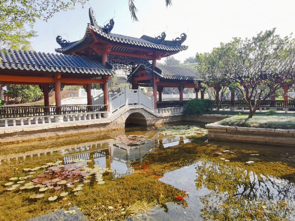 已编辑图片