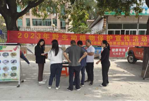 已编辑图片