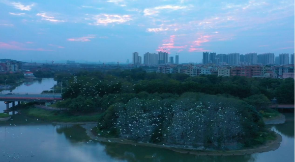已编辑图片