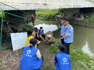 已编辑图片