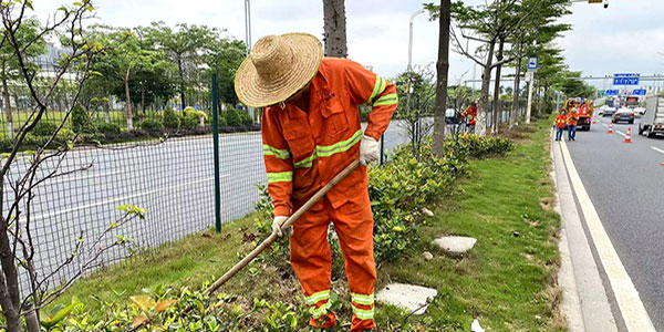 花都大道绿化带提升“颜值”