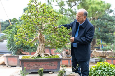 打造文化传承“花都样本”让传统非遗“潮”起来3058.png