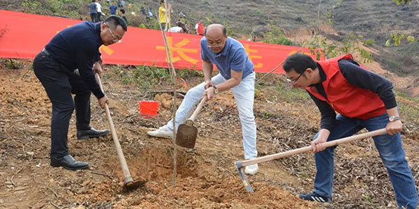 花都区“绿美广州 林长先行”造林绿化活动  处处绿意盎然