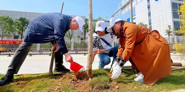 花都区2.5万名职工累计义务植树3万多棵