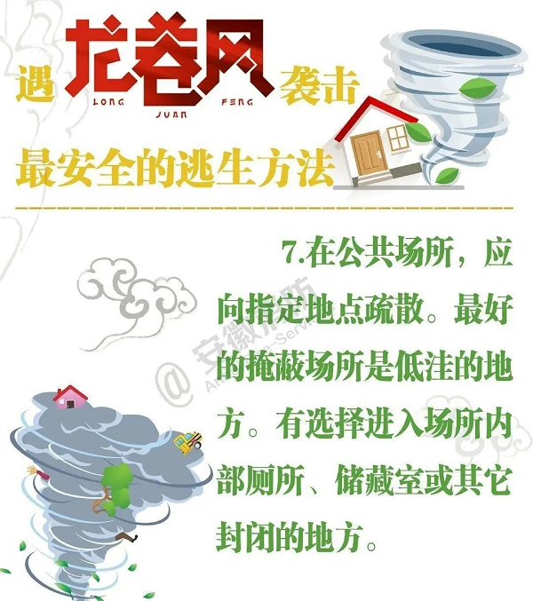 图片8.png