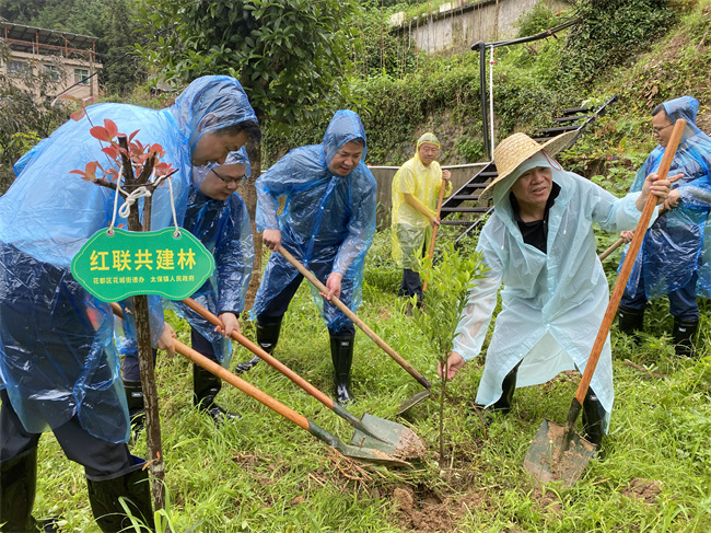 种植“红联共建”特色主题林.jpg